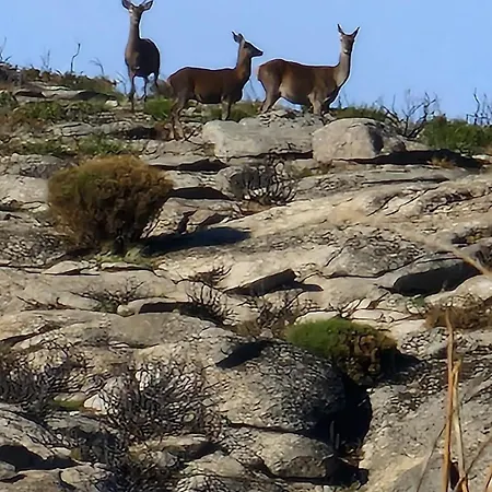 Ubytování v soukromí Casa Do Lello *