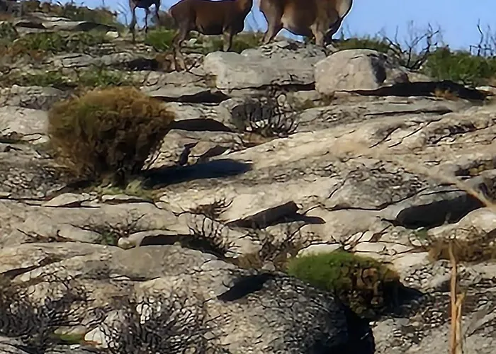Séjour chez l'habitant Casa Do Lello *
