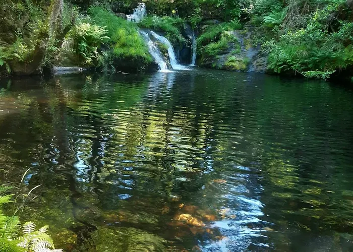 Séjour chez l'habitant Casa Do Lello Bragance